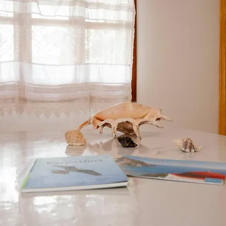 Appartement Palmhouses