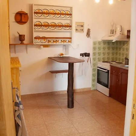 Palmhouses * Afiartis