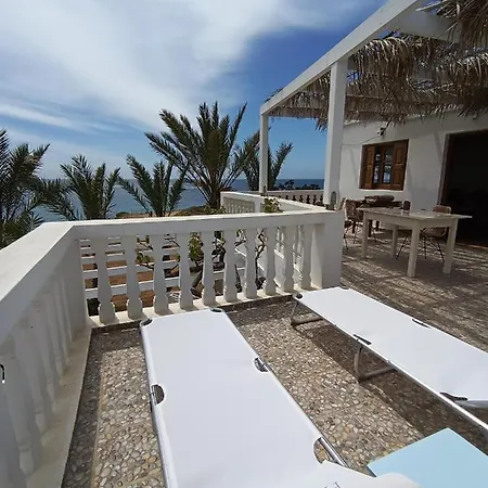 Palmhouses * Afiartis