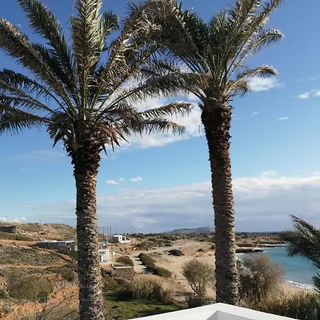 Palmhouses * Afiartis