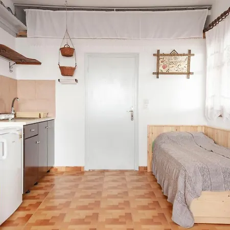 Palmhouses * Afiartis