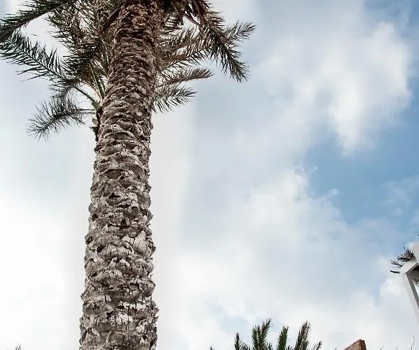 شقة Palmhouses Afiartis