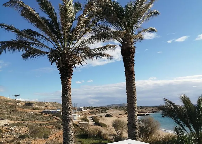 Palmhouses * Afiartis