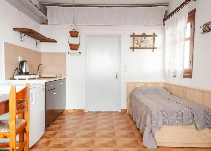 Palmhouses * Afiartis