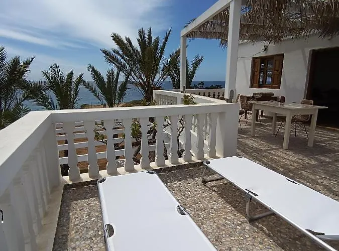 Palmhouses * Afiartis